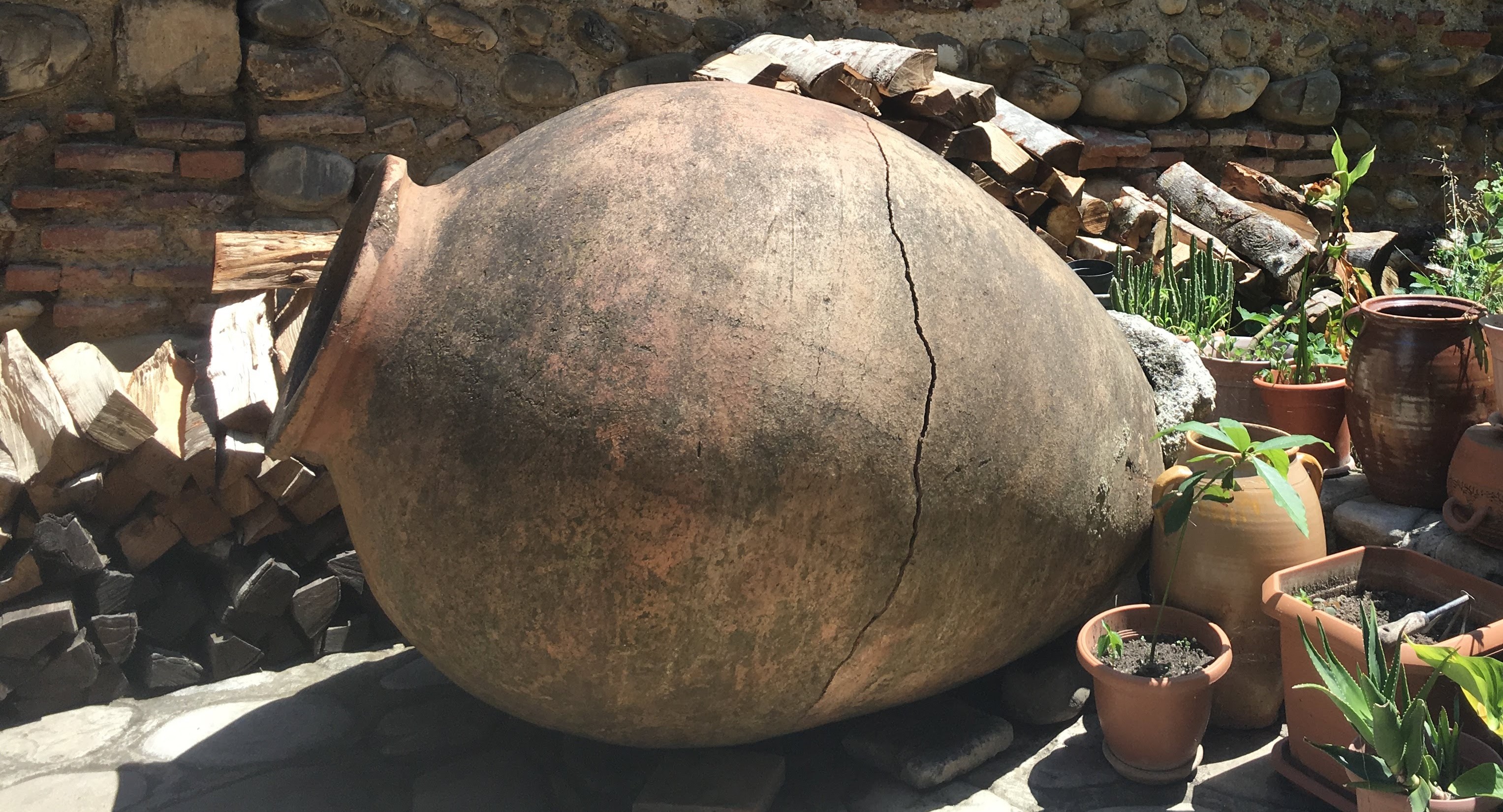 The Revival of Amphoras